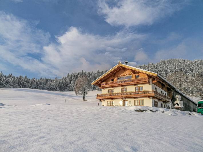 Ferienwohnung für 12 Personen, mit Balkon und Garten in Hopfgarten im Brixental