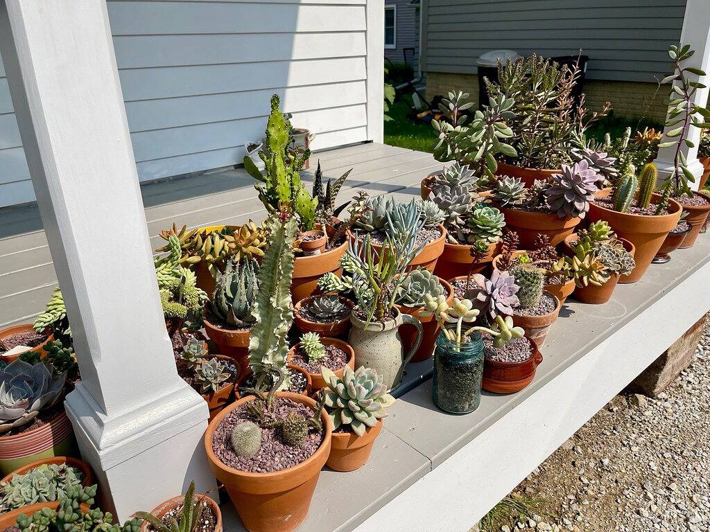Ganze Wohnung, Decorah House - luftig, modern, voll natürlichem Licht, 5 Blocks in die Innenstadt in Decorah, Winneshiek County