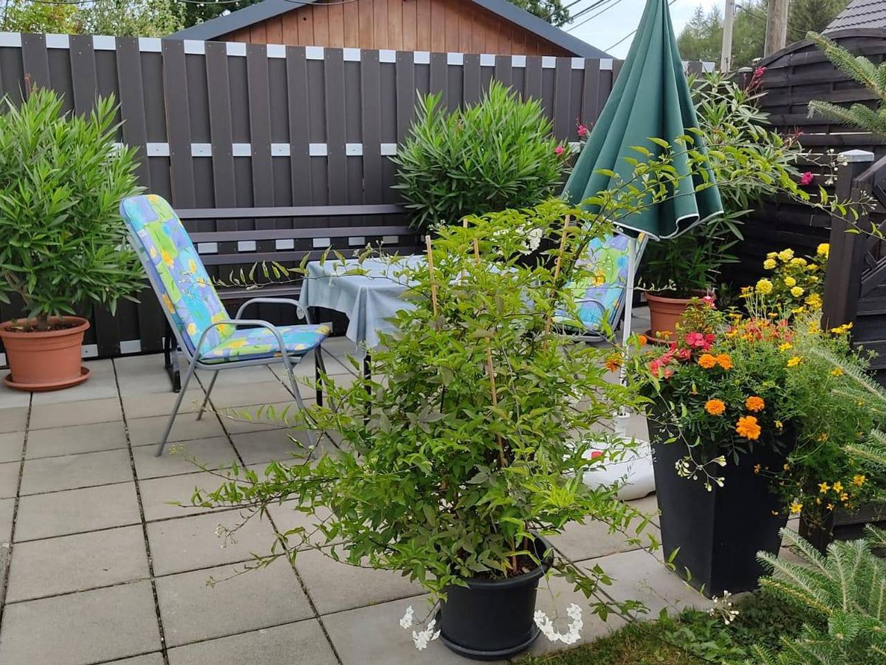 Ganze Ferienwohnung, Ferienwohnung Schaarschmidt - Appartement/Fewo, Dusche und Bad, Wc in Altenberg, Mittlere Erzgebirge