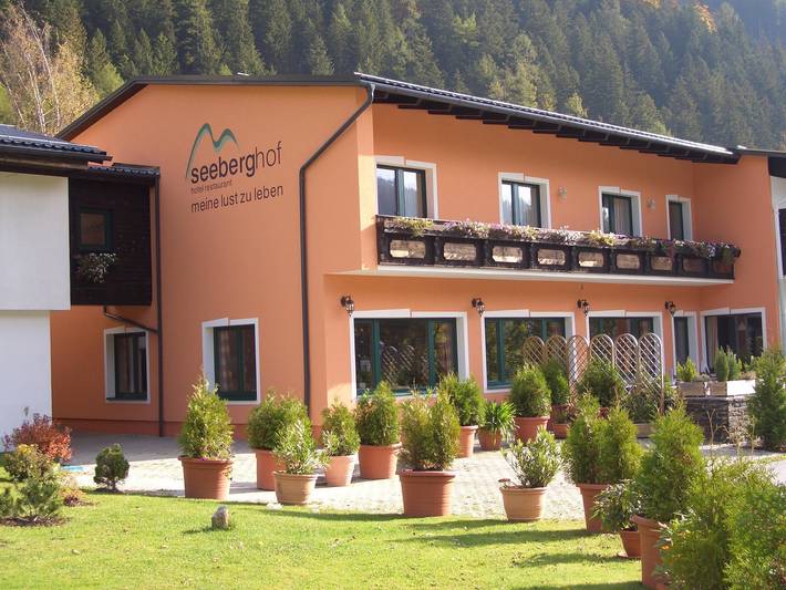 Pension für 2 Personen, mit Terrasse und Garten, mit Haustier in Hochsteiermark - 3