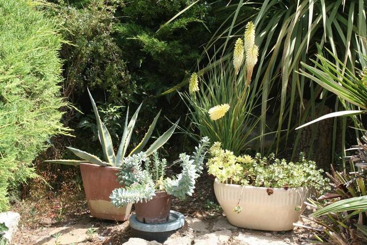 Location de vacances pour 3 personnes, avec vue ainsi que jardin et piscine à Cabrières (Gard) - 4