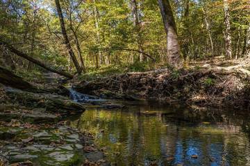 Log Cabin for 10 Guests in Broken Bow, Broken Bow Lake, Picture 2