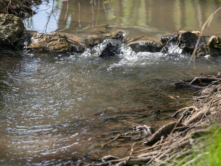 Zelt für 2 Personen, mit Haustier in Kroatien - 3
