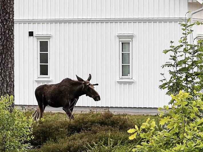 5 Sterne Ferienhaus in Engelsviken in Fredrikstad