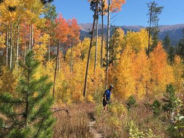 Vacation House for 10 Guests in Fraser, Arapaho National Forest, Picture 2