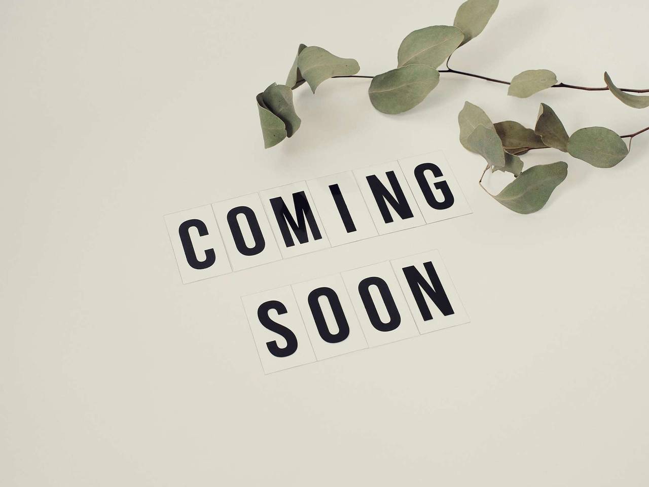 Apartamento entero, Apartamento con encanto, 4 pers, pueblo medieval Martel, Se admiten mascotas, Wifi gratis in Martel, Lot