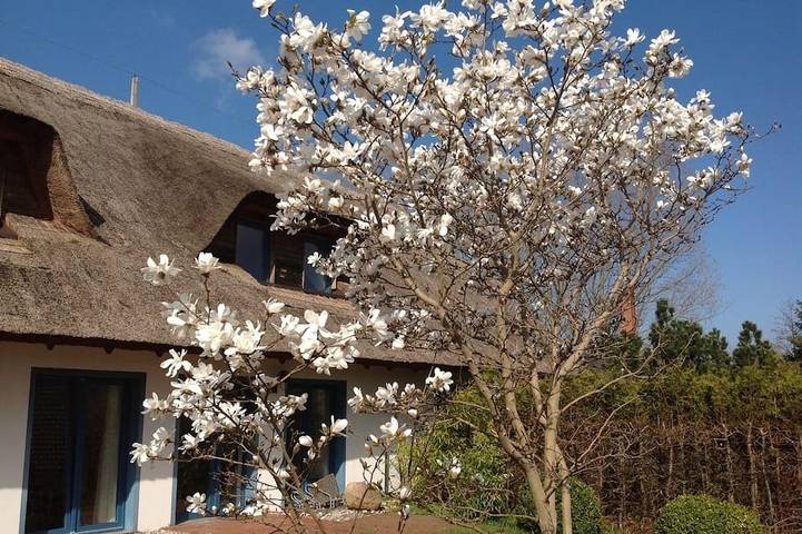 Bungalow für 4 Personen, mit Garten