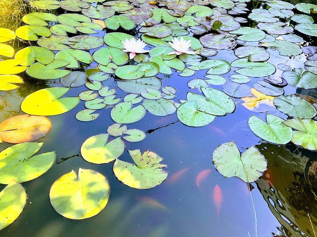 Bill's Landing Luxury Suite with private Hot Tub in Sunshine Coast Regional District