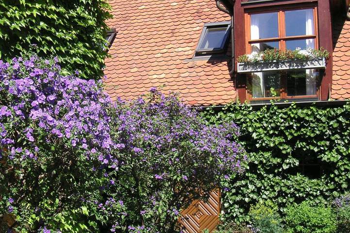 Entire apartment, Stylish apartment III on Franconian fruit and Brennereihof in Leutenbach, Franconian Switzerland