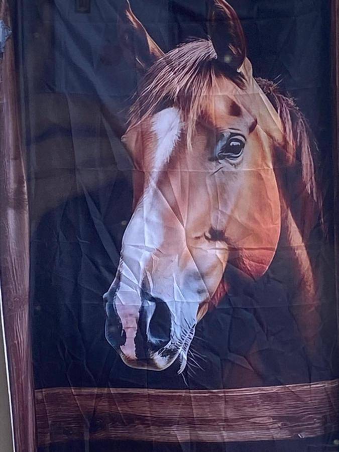 Location de vacances pour 2 personnes, avec jardin et vue dans Monaghan - 4