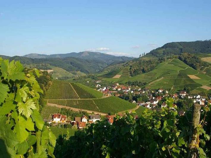 Maison d’hôte pour 2 personnes, avec terrasse et vue, animaux acceptés à Durbach - 3