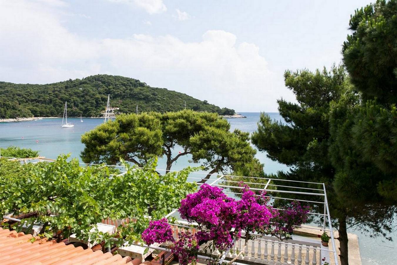 Ganze Wohnung, Ferienwohnung für 4 Personen mit Meerblick in Saplunara, Mljet