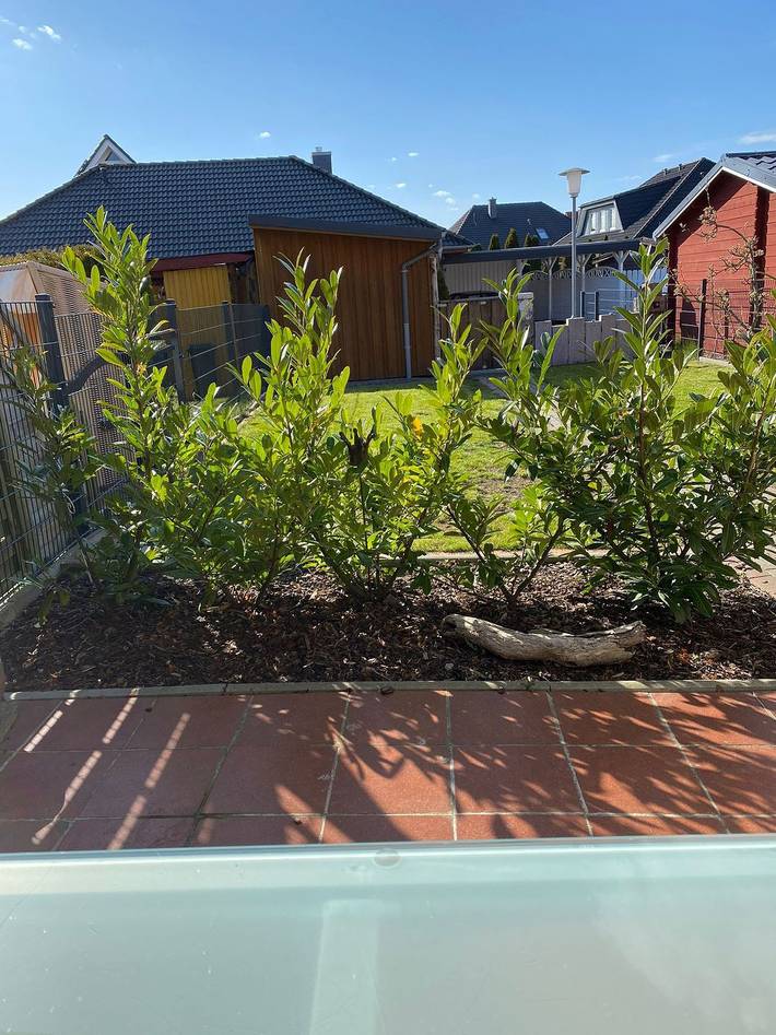 Ferienhaus für 4 Personen, mit Terrasse und Garten, mit Haustier in Burg auf Fehmarn - 3