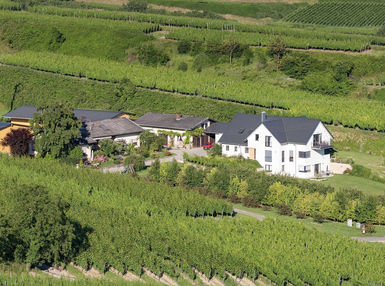 Ganze Ferienwohnung, Maienbrunnenhof - Lenzenberg, 38 qm, 1-2 Personen in Ihringen, Kaiserstuhl