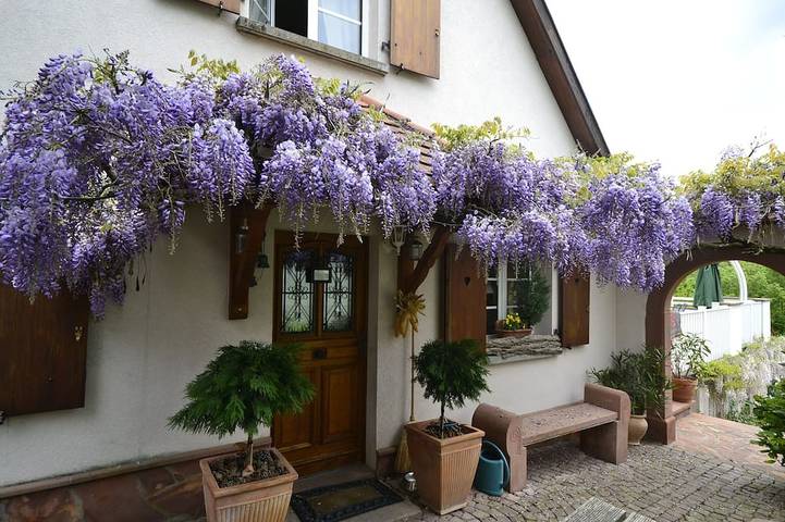 Ferienhaus für 6 Personen, mit Balkon und Garten - 1