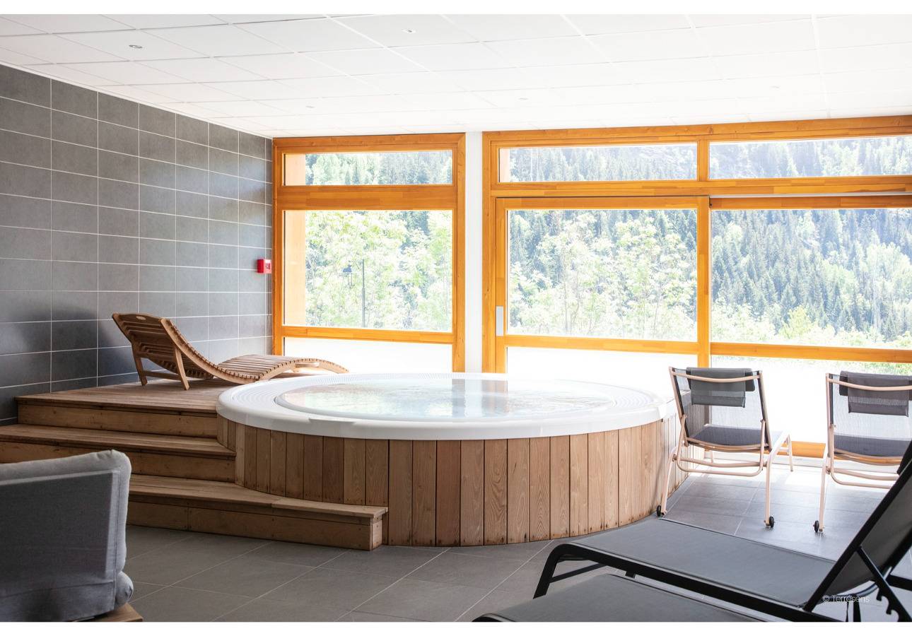 Appartement entier, Les Edelweiss Ts 4p8p Premium A48P in Vaujany, Parc national des Écrins