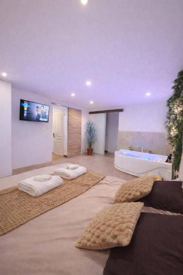 Gîte pour 4 personnes, avec jardin et jacuzzi à Naintré - 4
