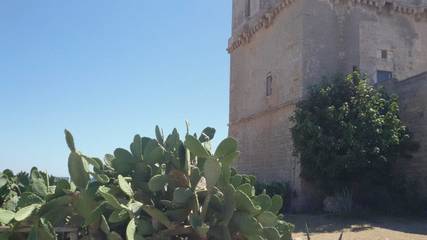 Appartamento per 2 persone, con giardino, con animali domestici in Torre Colimena