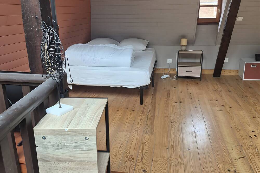 Entire apartment, Studio Tess Apartment with Wi-Fi in Salies-de-Béarn, Béarn