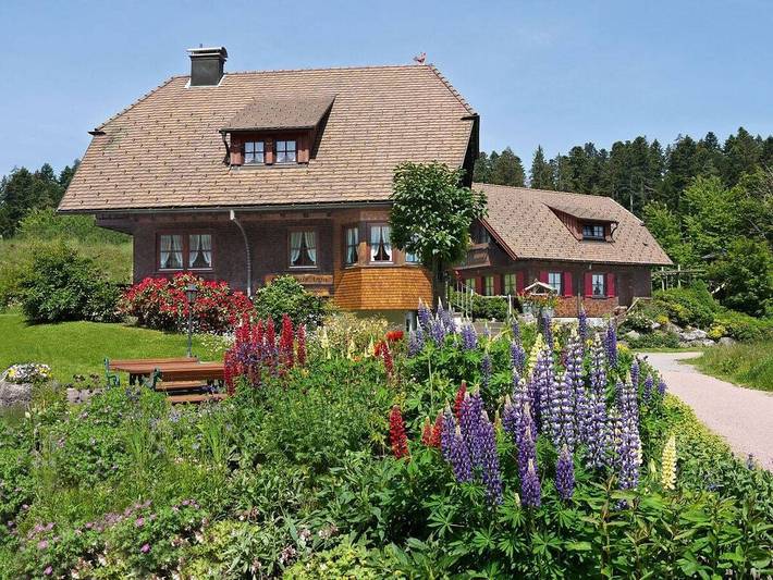 Ferienhaus für 4 Personen, mit Haustier - 1
