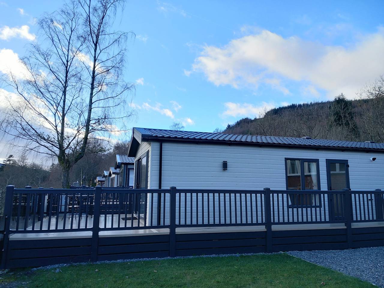 Rowan in Loch Earn, Perthshire