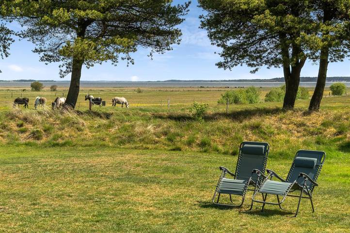 Ferienhaus mit Meerblick für 6 Personen, mit Terrasse, mit Haustier in Blavand - 4