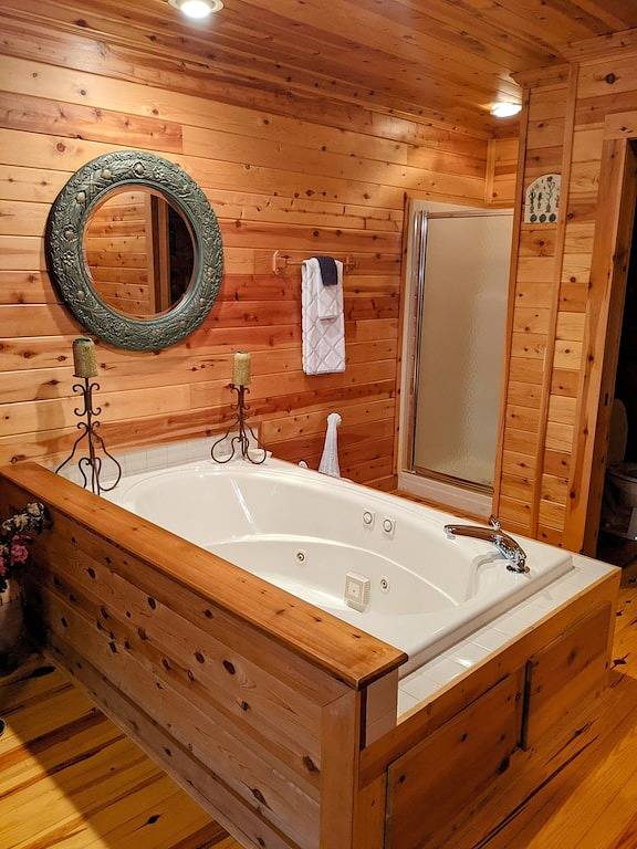 Lake Adger - Lakefront Charmin in Polk County NC