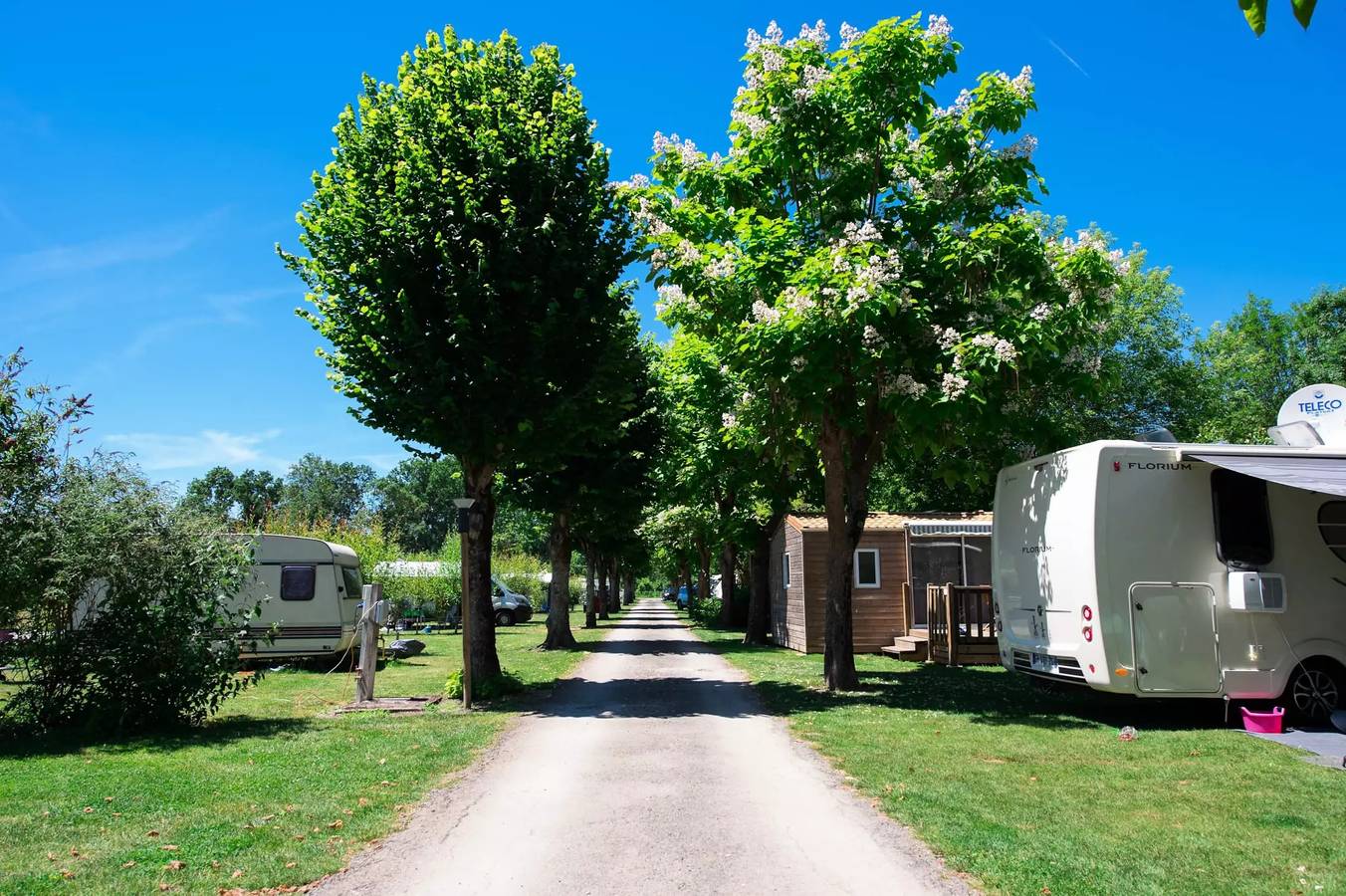 Ecolodge Toile & Bois 30m² (2 chambres - 4 personnes) dont terrasse couverte 8m² - Sans sanitaires 4 personnes in Coulon, Région de Niort