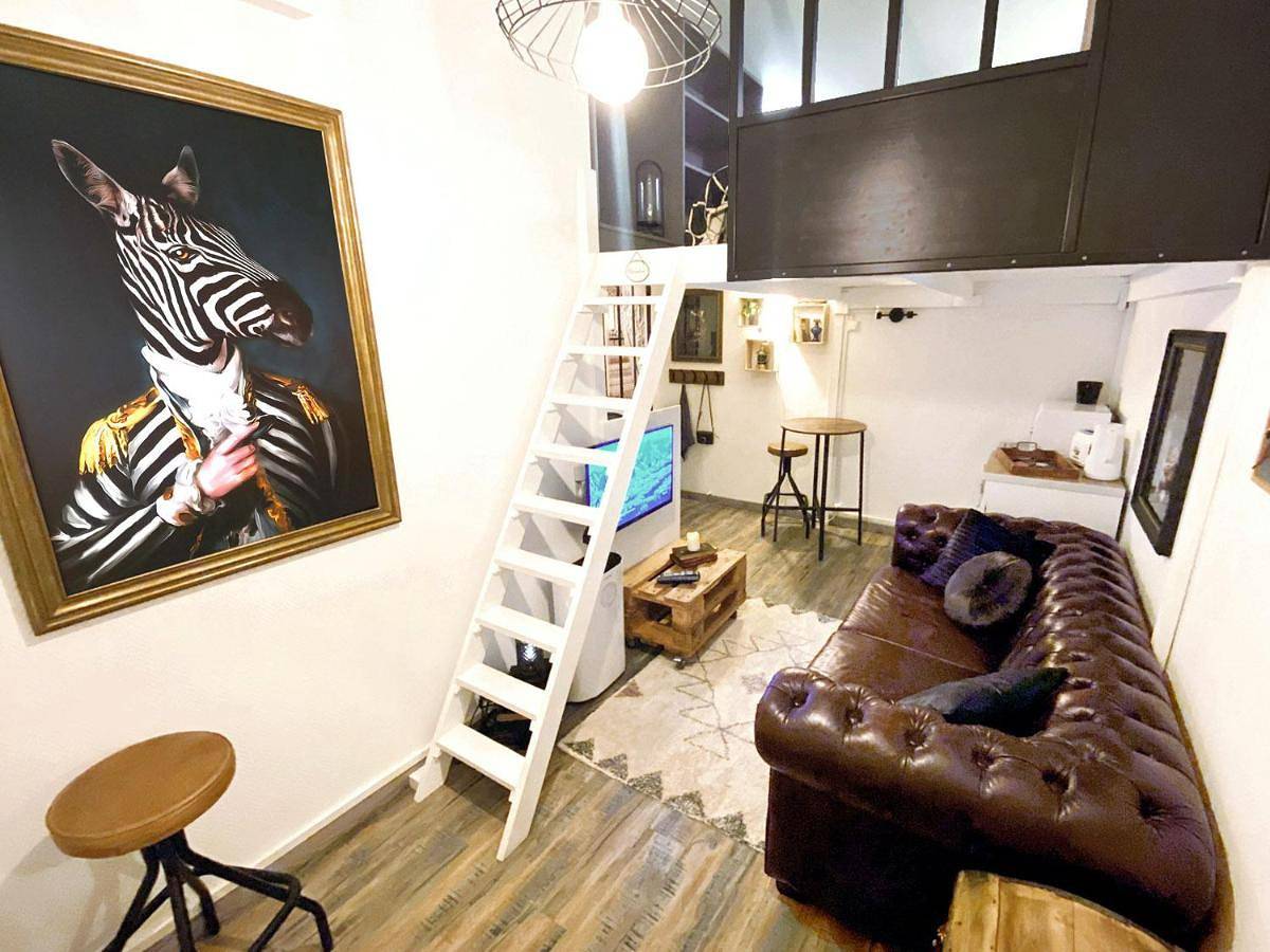 Appartement entier, L'Intimiste à Saint Lô - Atypique - Studio Duplex Privé tout équipé - Gare - Centre - Parking gratuit - Entrée autonome - Chambre en mezzanine - Wifi - Netflix - Lave-linge in Saint-Lô, Région de Saint-Lô