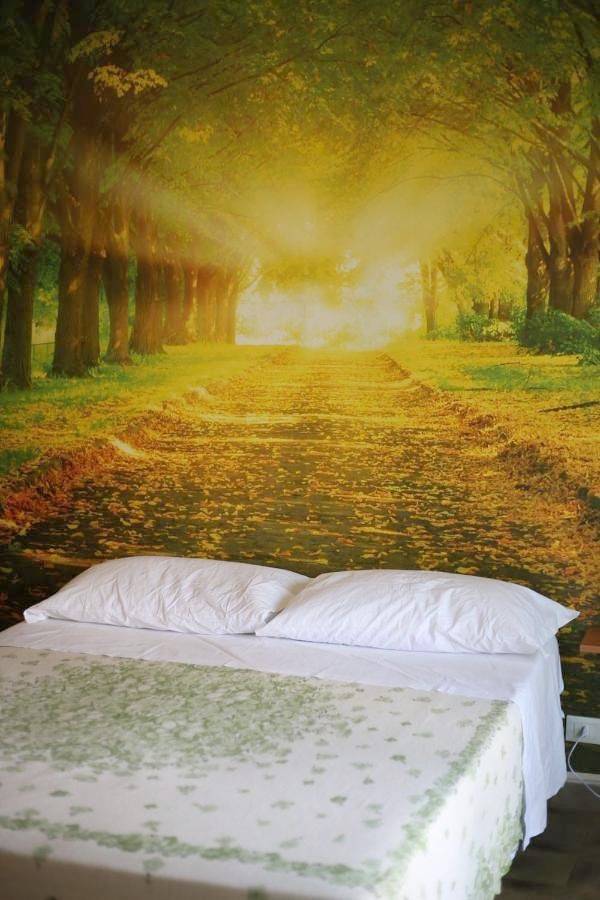 La Casa Dell'Orso in Ciampino, Castelli Romani