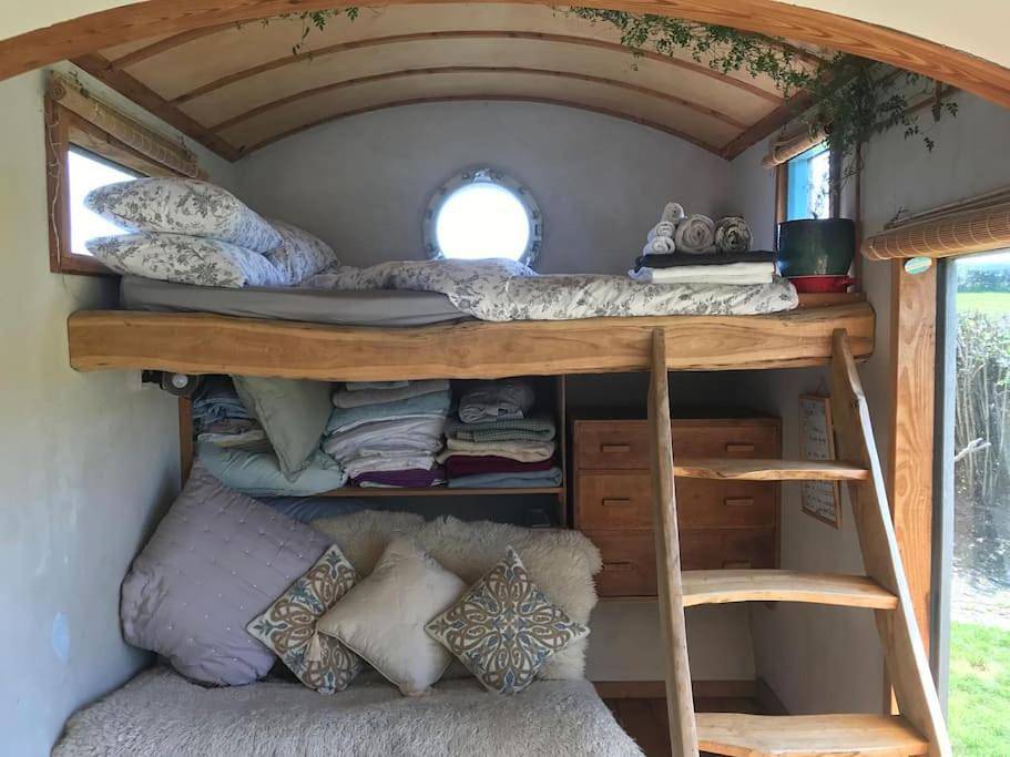 Secluded Shepherds Hut, with a view and hot tub in Ashburton, Dartmoor