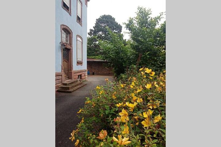 Gîte pour 6 personnes à Bouxwiller - 3