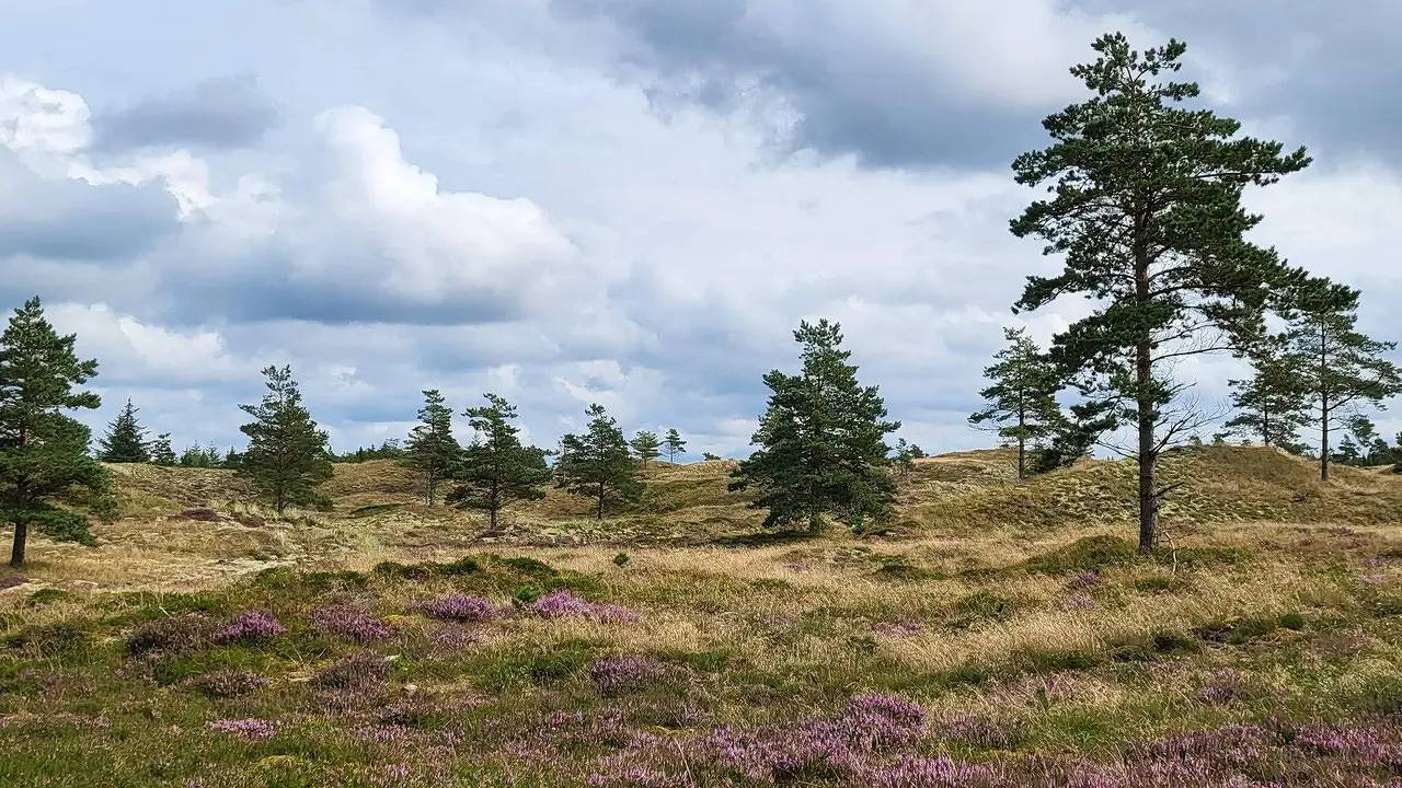 Ferienhaus für 8 Personen (109 m²) in Fjerritslev in Thorup Strand, Jammerbugt