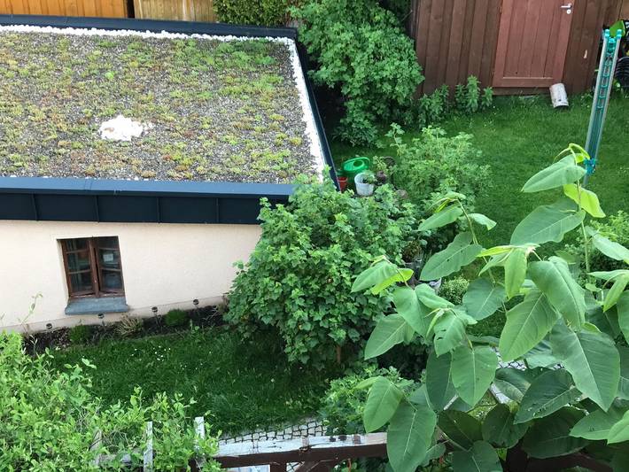 Ferienwohnung für 4 Personen, mit Balkon und Garten im Erzgebirge - 4