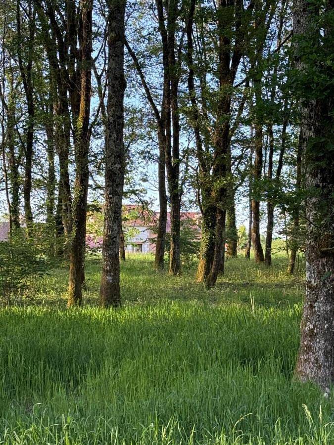 La Grange aux Etangs - Les Chambres d'hôtes in Sennely, Sologne