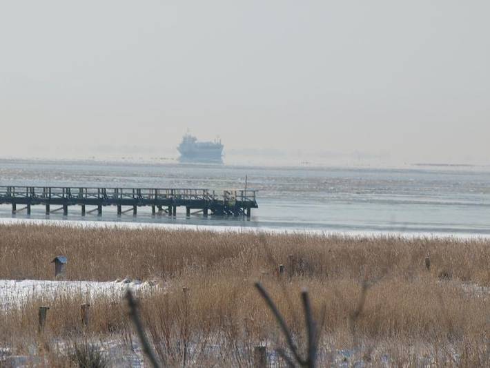 Ferienhaus für 4 Personen, mit Seeblick und Garten, mit Haustier an der Nordsee - 2