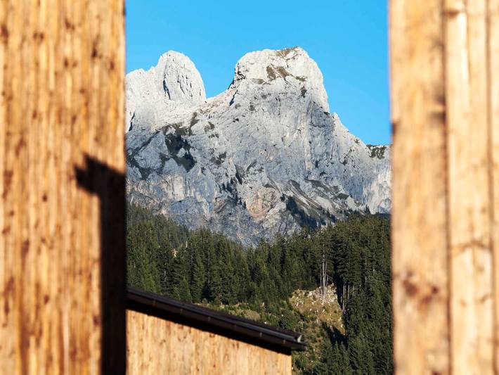 Ferienwohnung für 6 Personen, mit Whirlpool und Garten sowie Sauna, kinderfreundlich in Grän - 4