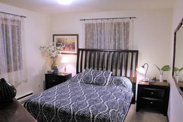 Vacation Home for 6 Guests in Breckenridge, Summit County, Picture 3