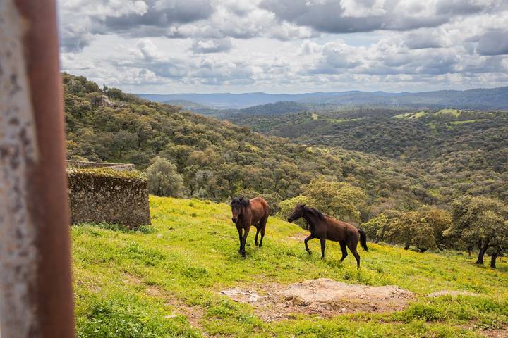 Casa rural para 6 personas, con jardín, Se admiten mascotas en Sierra de Huelva