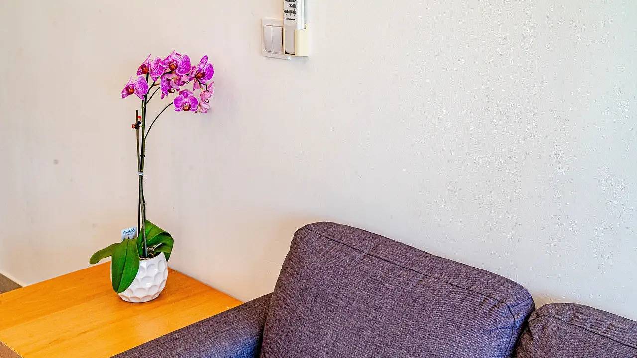 Ganze Ferienwohnung, Ferienwohnung für 4 Personen (39 m²) in Kneza in Račišće (Dalmatien), Korcula