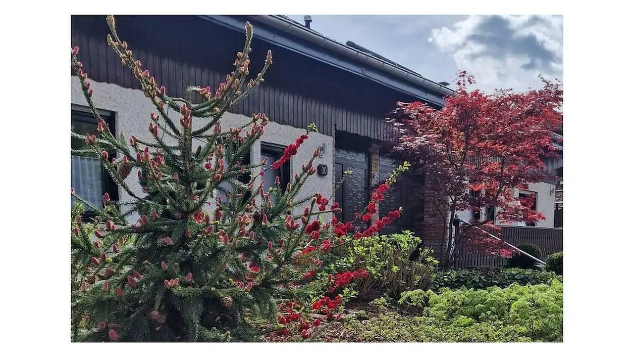 Ferienhaus für 6 Personen (130 m²) in Bruchweiler-Bärenbach in Bundenthal, Landkreis Südwestpfalz