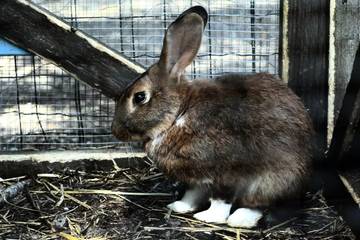 Camping voor 10 Personen in Villers-lès-Nancy, Nancy en omgeving, Afbeelding 3