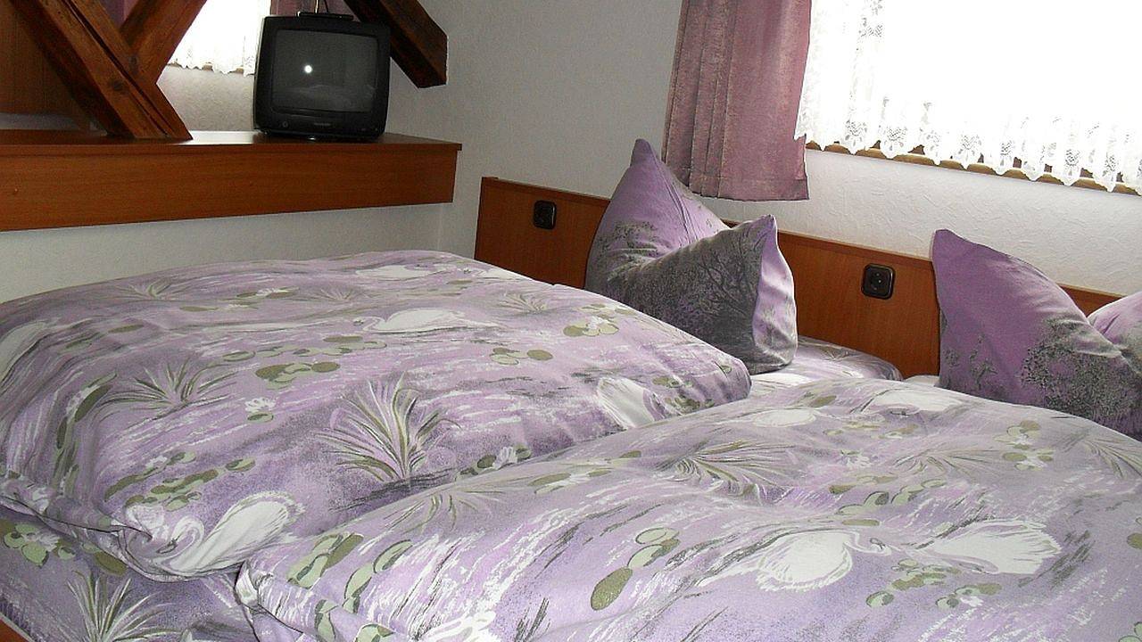 Doppelzimmer für 2 Personen in Ilmenau in Ilmenau, Thüringer Kernland