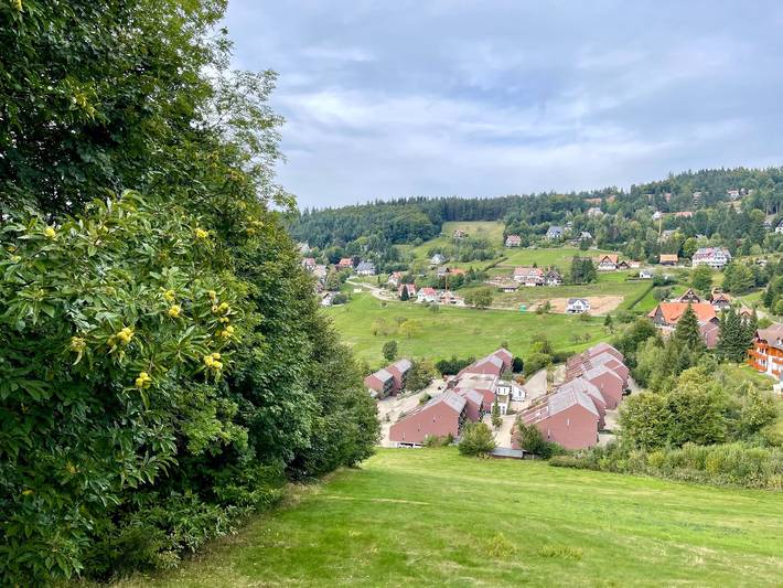 Gîte pour 4 personnes, avec Balcon/Terrasse et Jardin ainsi que Piscine et Sauna dans Brandmatt (Sasbachwalden)
