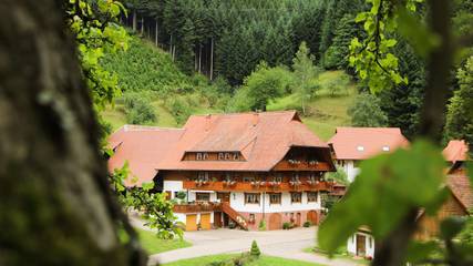 Ferienwohnung für 2 Personen, mit Balkon/Terrasse und Terrasse in Oberharmersbach