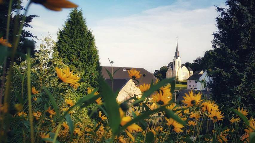 Hütte für 4 Personen, mit Terrasse im Erzgebirge - 4