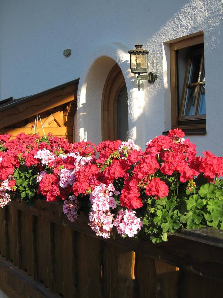 Ferienwohnung für 3 Personen, mit Ausblick und Balkon im Mittenwald - 2