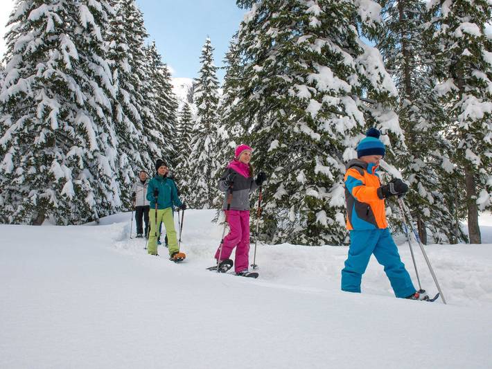 Ganze Ferienwohnung, Ferienwohnung Haus Annabelle Top 3 - FeWo Annabelle Top 3 in Bregenzerwald (Vorarlberg), Damüls