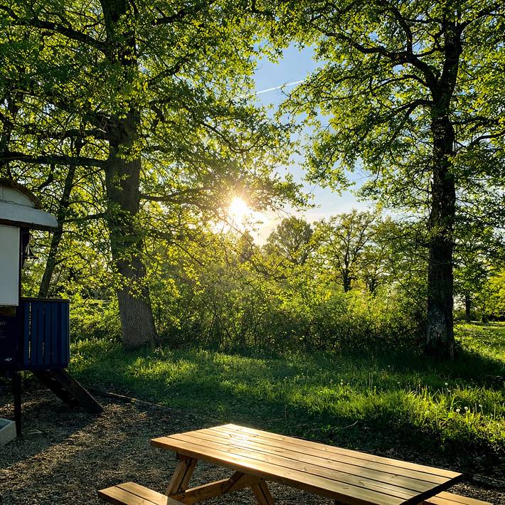 Camping pour 6 personnes, avec piscine, animaux acceptés dans Haute-Vienne - 3
