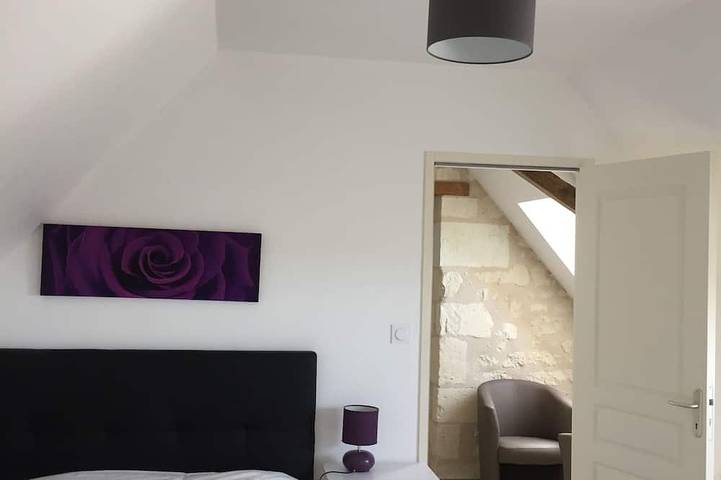 Gîte pour 6 personnes, avec terrasse et jardin à Bourgueil - 2